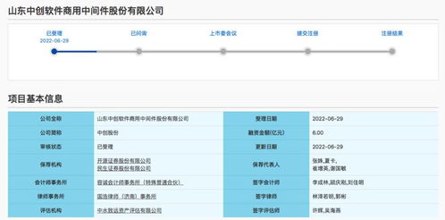 濟(jì)南魯企喜獲科創(chuàng)板受理 2022年上半年基礎(chǔ)軟件服務(wù)領(lǐng)域迎來新突破